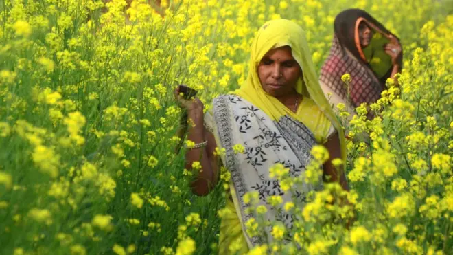 महिलाएं