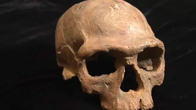 กะโหลกมนุษย์