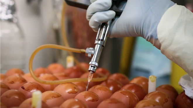 دولت آمریکا می‌گوید برای ساخت واسن کرونا با دو شرکت داروسازی در حال همکاری است