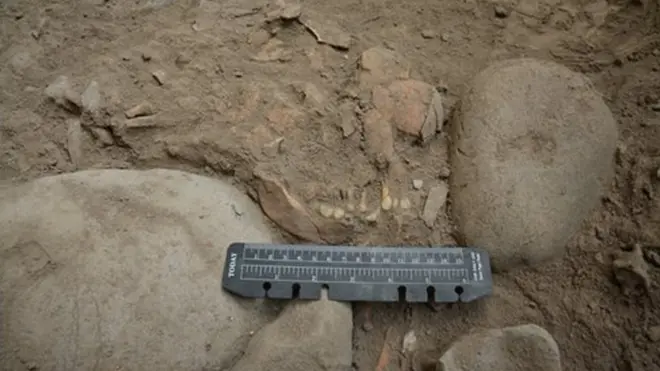 Temuan rangka manusia prasejarah di Sulawesi mengungkap nenek moyang orang Indonesia.