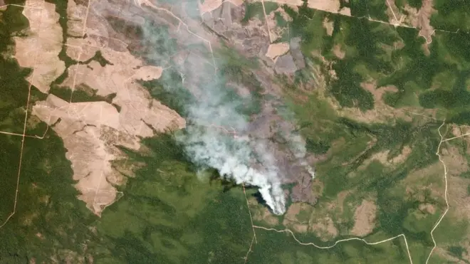 ไฟป่าแอมะซอน