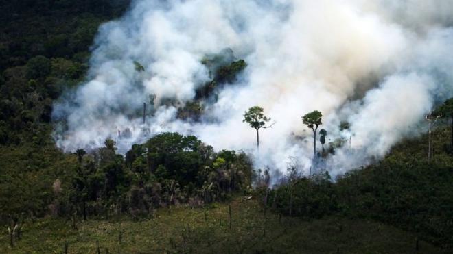 Selva amazónica en llamas