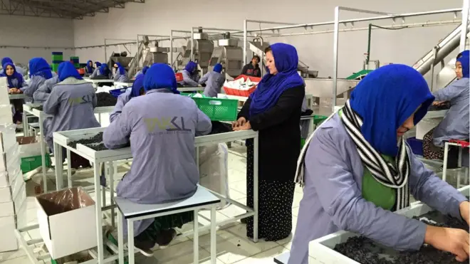 د مزار شریف ختیځ کې د صنعتي پارک د وچو مېوو دې بلې فابریکې کې دوه میلیون ډالره پانګونه شوې چې شاوخوا ۳۶۰ کسان کار پکې کوي او ډېری يې مېرمنيې دي.