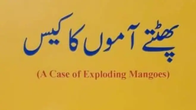 محمد حنیف کی کتاب کا اردو میں ترجمہ چند ماہ قبل شائع ہوا تھا