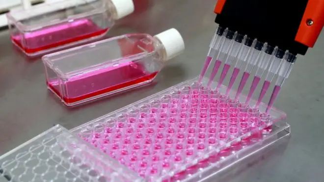 Новые правила медосмотра предполагали сдачу анализов на употребление психоактивных веществ и алкоголя