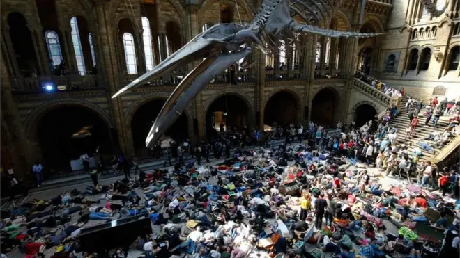 Protesters lay down underneath the giant whale skeleton in the museum's main hall