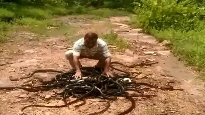 سانپوں کی بوری کھول دی