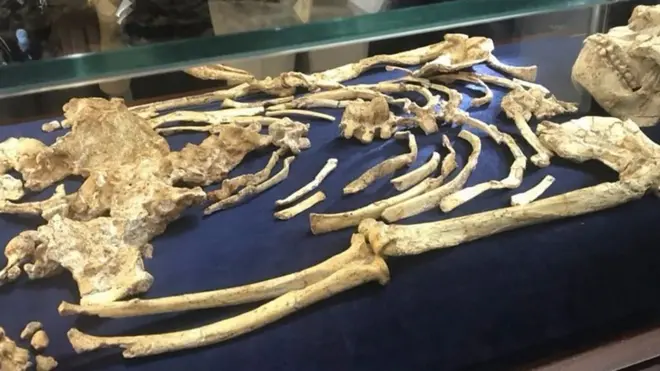 ደቡብ ኣፍሪቃ፡ ሓድሽ መበቆል ወድሰብ