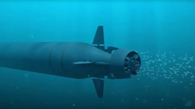 Russia's Poseidon nuclear-armed underwater vehicle - picture here by Tass, Russia's state-owned nbews agency