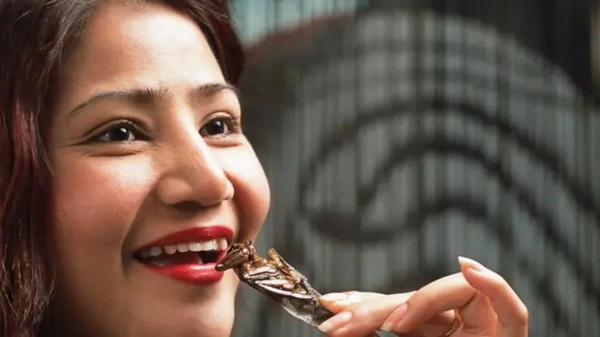 هل يجب أن نستبدل لحم البقر بالحشرات؟