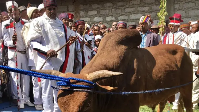 Korma araaraaf qalamu