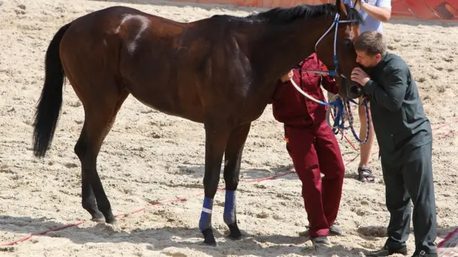 Рамзан Кадыров известен своей любовью к лошадям (архивное фото)