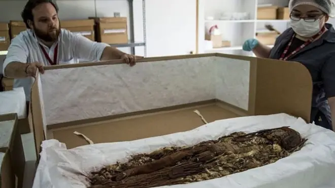 Je walikausha vipi mfu?