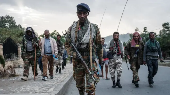 የትግራይ ኃይሎች