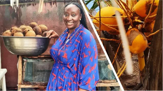 నిరుద్యోగాన్ని తగ్గించేందుకు, ఆర్థిక వ్యవస్థను గాడిలో పెట్టేందుకు కొబ్బరి పంటను నమ్ముకున్న దేశం