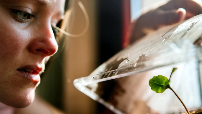 Поговорить с растением