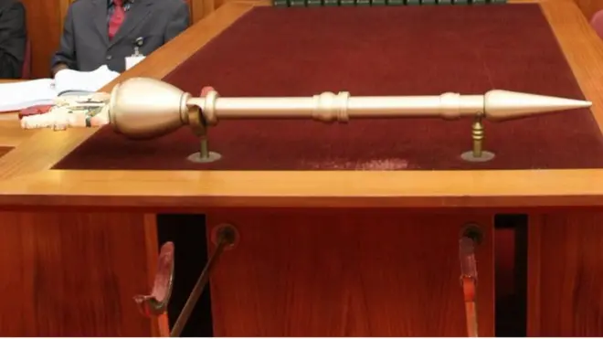 Ọfọ ụlọomeiwu