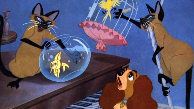Siamese cats in Lady and the Tramp, Si and Am