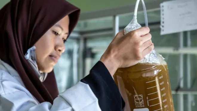 Biofuel research being carried out in an Indonesian laboratory