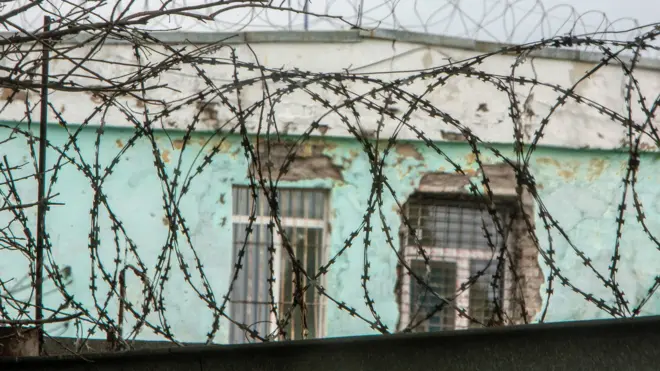 Стена колонии