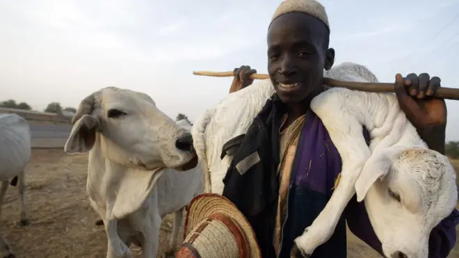 Herdsmen boy dey carry im sheep