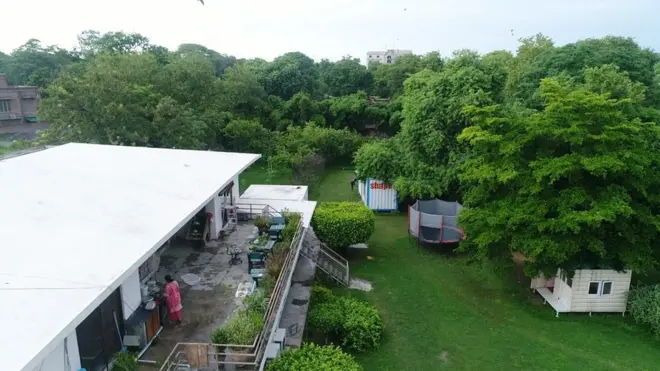 مریم نے پیپل اور گل مہر کے نایاب درخت بھی لگائے ہیں