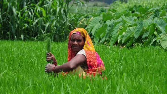 किसान, महिला, खेती