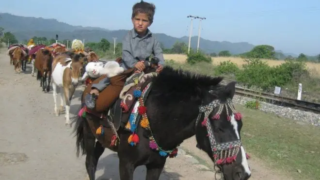బకర్వాల్ సమాజానికి చెందిన ఓ చిన్నారి గుర్రం మీద స్వారీ చేస్తున్న దృశ్యం