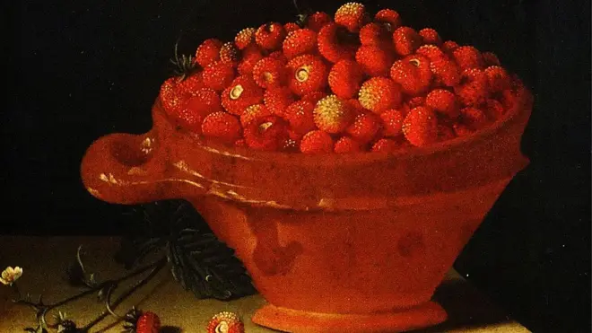 A pesar de los 400 años de domesticación, las fresas europeas seguían siendo un pequeño manjar en 1711. Pero en una franja entre los Andes y el Pacífico, los indígenas llevaban casi mil años cultivándolas y engrandeciéndolas.