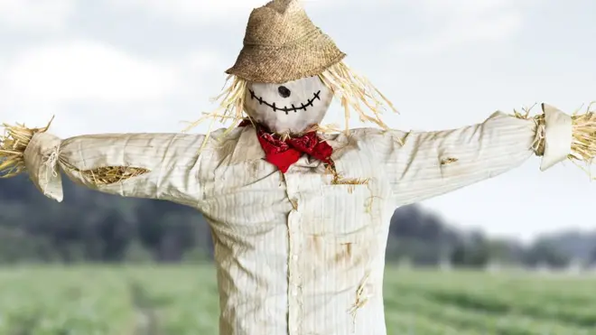 A generic photo of a scarecrow