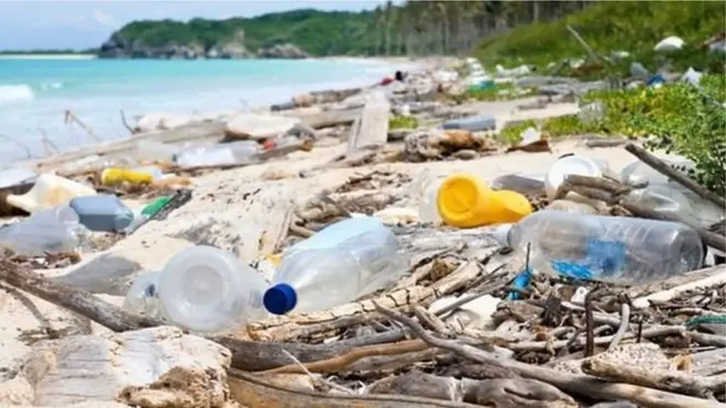 کارپوهان وایي، د پلاستیکي توکو له امله رامنځته شوې ککړتیا ډېره خطرناکه ده او دې ستونزې ته باید چاره پیدا شي.