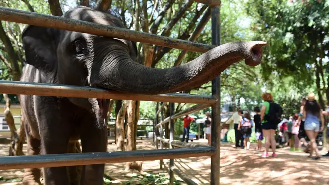 සංරක්ෂිත ඡායාරූපයක්