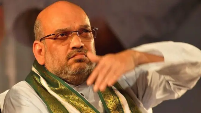 अमित शाह, बीजेपी