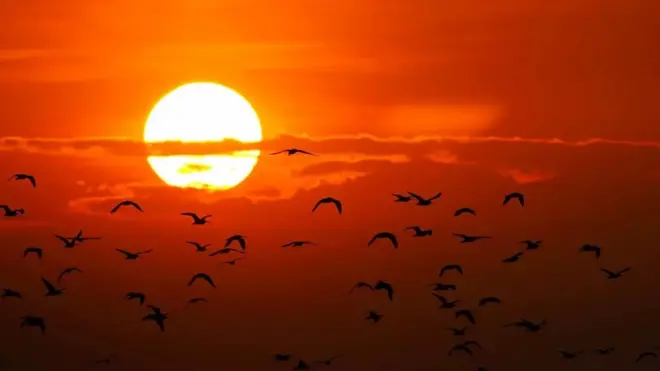 تجمي طبقة الأوزون الكائنات الحية على الأرض من أشعة الشمس الضارة