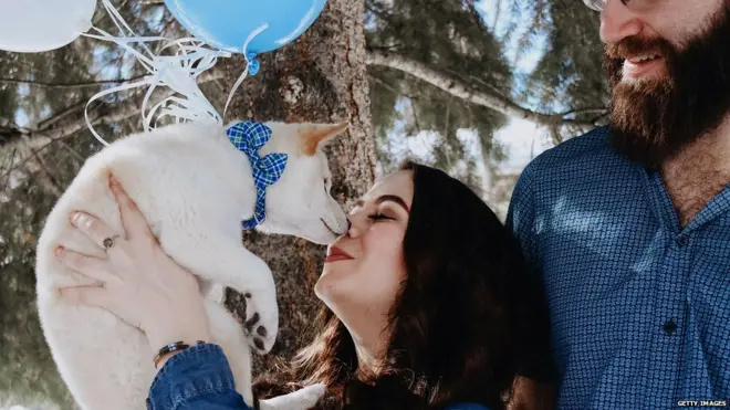 पालतू जानवर