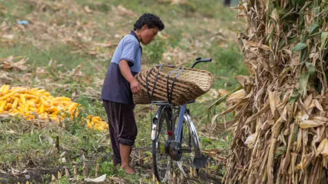 उत्तर कोरिया