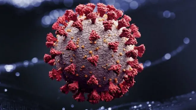 ویروس کرونا