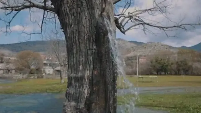 සෑම අවුරුද්දකම දිය ඇල්ලක් බවට පත්වෙන්නේ?