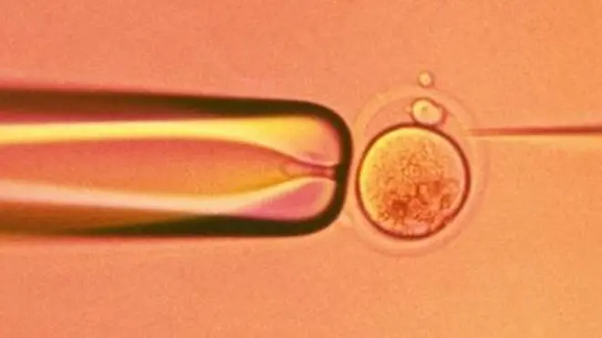 शुक्राणु