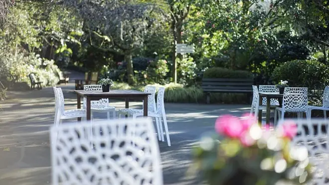 Ресторан у парку