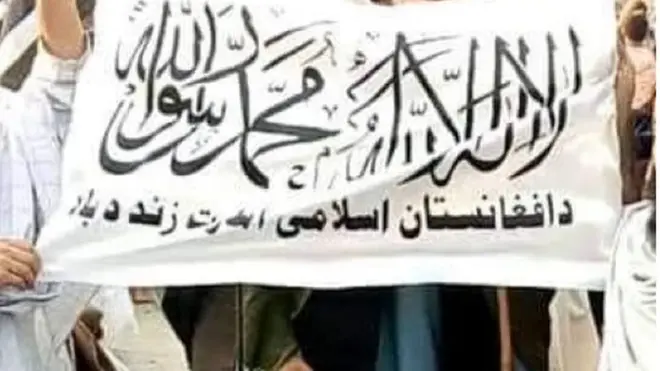 طالبانو بيرغ