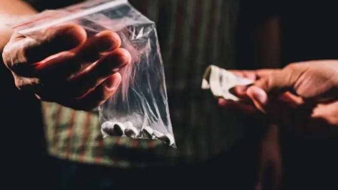 القنب الهندي المنتشر في الأوساط الشبابية