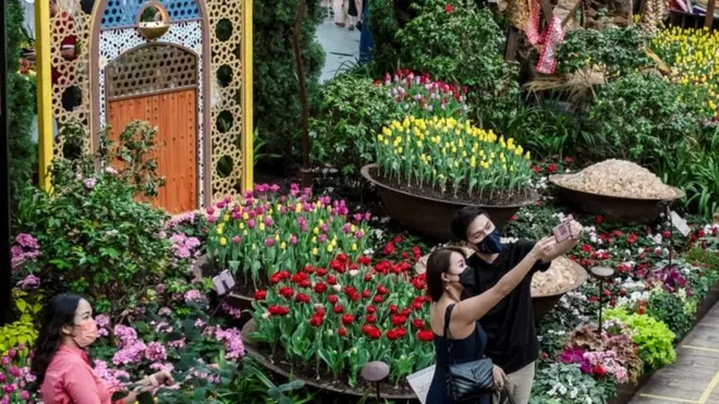 Dijital güvenlik, sağlık güvenliği ve altyapı güvenliği açısından ikinci gelen Singapur, dijital gözetleme ve temas takip ile bu özelliklerini kullanarak daha pandeminin ilk günlerinde hızlı bir şekilde ilerledi.