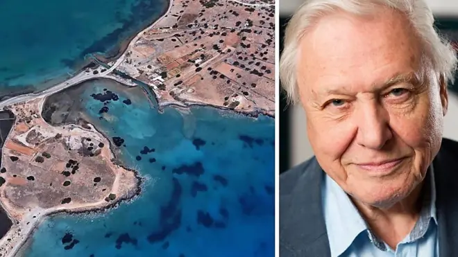 La nueva versión de Google Earth permite disfrutar de recorridos interactivos con la voz del naturalista británico David Attenborough.