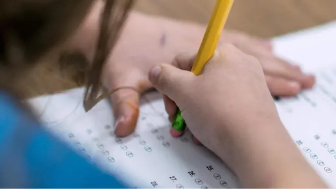 Para peneliti menilik pencapaian akademik pasangan kembar dan faktor-faktor yang memengaruhinya.