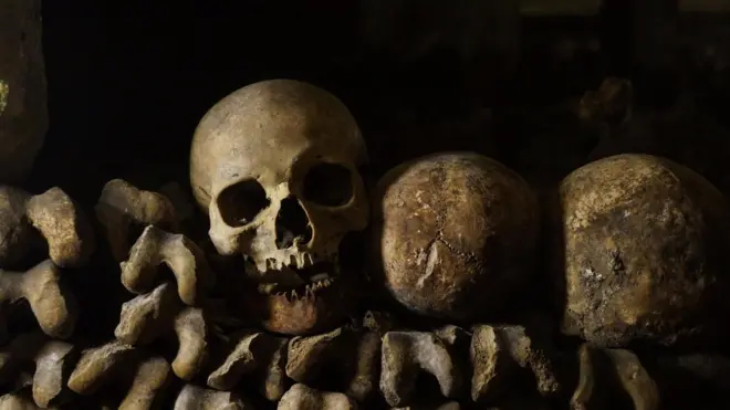 Cada esqueleto conta a história de vida do seu dono