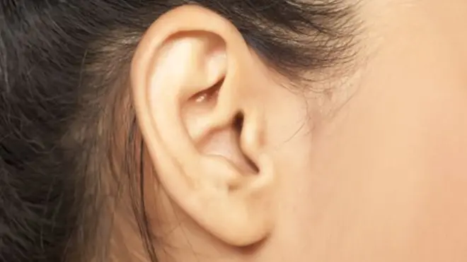 ear