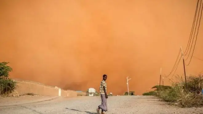 بخش‌هایی از شرق آفریقا با بدترین خشکسالی در ۴۰ سال گذشته مواجه شد و نزدیک به ۱.۲ میلیون نفر را تنها در سومالی آواره کرد