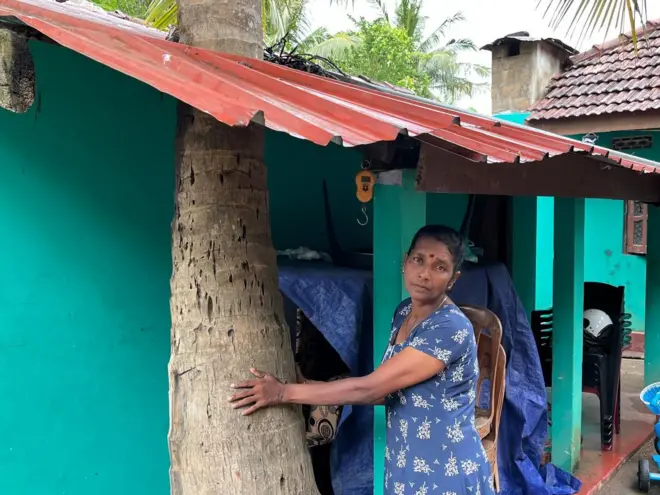 'මේ පොල් ගහ දූ තමයි කියලා හිතලා තමයි මම ඉන්නේ'