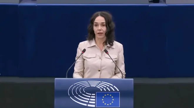 Avropa Parlamentinin nümayəndəsi 